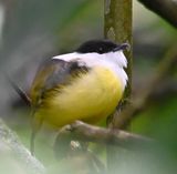 DSC_0654b.jpg