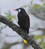 DSC_0932b.jpg