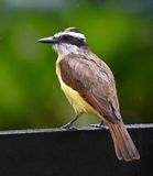 DSC_1036b.jpg