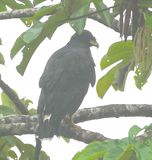 DSC_1123b.jpg