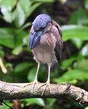 DSC_1215b.jpg