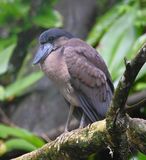 DSC_1216b.jpg