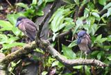DSC_1218b.jpg