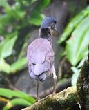 DSC_1221b.jpg
