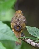 DSC_1338b.jpg