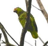 DSC_1494b.jpg