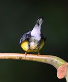 DSC_1544b.jpg