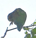 DSC_1554b.jpg
