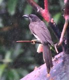 DSC_1560b.jpg