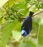 DSC_1732b.jpg