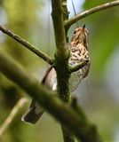 DSC_1758b.jpg