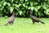 DSC_1788b.jpg