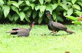 DSC_1789b.jpg
