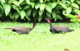 DSC_1790b.jpg