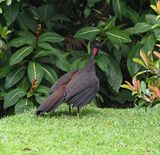 DSC_1806b.jpg