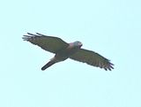 DSC_1885b.jpg