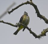 DSC_1915b.jpg