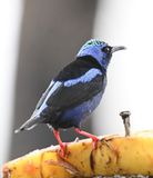 DSC_1940b.jpg