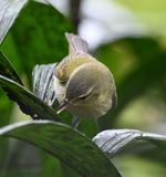 DSC_1942b.jpg