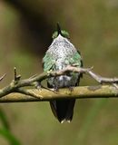 DSC_1951b.jpg
