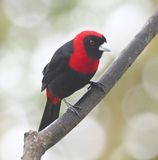 DSC_1956b.jpg