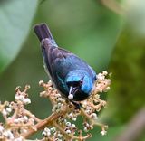 DSC_1987b.jpg