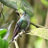 DSC_2015b.jpg