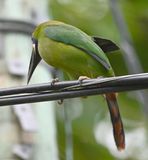 DSC_2047b.jpg