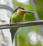 DSC_2048b.jpg