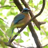 DSC_2077b.jpg