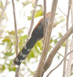DSC_2113b.jpg
