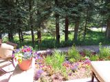 IMG_4803b.jpg