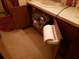 20221220_155505.jpg