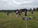 PXL_20230506_150549500.jpg