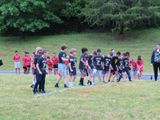 IMG_3929.jpg