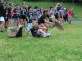IMG_3947.jpg