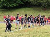 PXL_20230508_140539510.jpg
