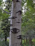 PXL_20230705_000628098.jpg