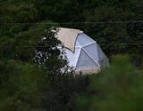 DSC_5252b.jpg