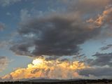 PXL_20230709_022504384b.jpg