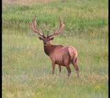 DSC_6616b.jpg