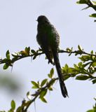 DSC_2521b.jpg