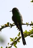 DSC_2523b.jpg