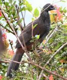 DSC_2573b.jpg
