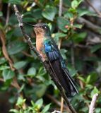 DSC_2596b.jpg