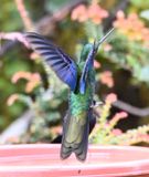 DSC_2622b.jpg