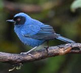 DSC_2636b.jpg