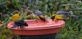 DSC_2659b.jpg