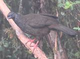 DSC_2735b.jpg