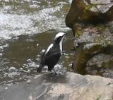 DSC_2902b.jpg